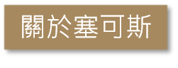 圖片7