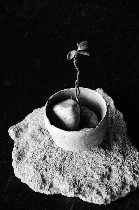 image002